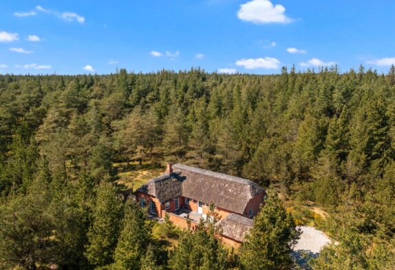 Reetdachferienhaus mit Sauna und Whirlpool im Grünen