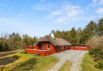 Behagliches Reetdachhaus mit Sauna, Kaminofen und Internet (Bild  1)