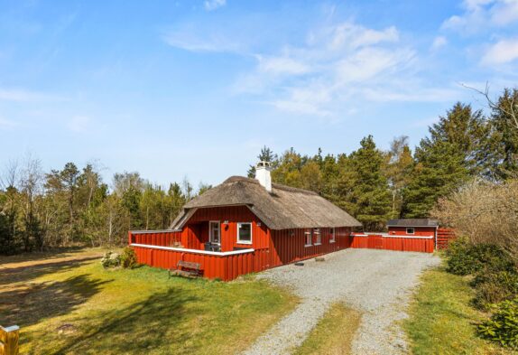 Behagliches Reetdachhaus mit Sauna, Kaminofen und Internet
