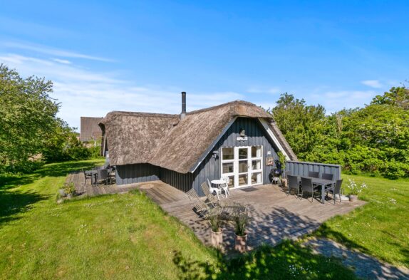 Schönes reetgedecktes Ferienhaus mit Kaminofen