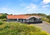 Stilfuldt aktivitetshus i Henne Strand med billard, sauna og spabad (billede 1)