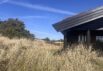 52141 (Bild  2)