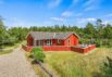 Hyggeligt feriehus tæt på natur og Blåvand (billede 1)