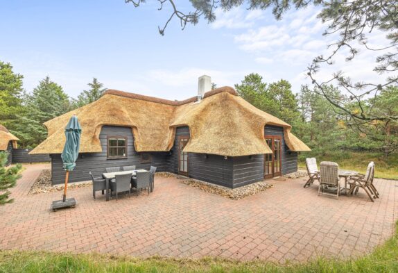 Erlebt einen schönen Urlaub im Ferienhaus in Blåvand