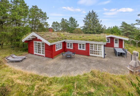 Hygge vor dem Holzofen im Haus mit Gras auf dem Dach