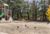 Velkommen til jeres drømme-sommerhus i hjertet af Blåvand (billede 8)
