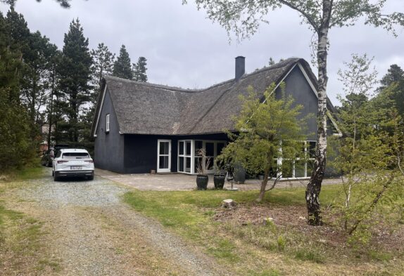 Großes, gemütliches Ferienhaus mit Spa und Sauna in Blåvand