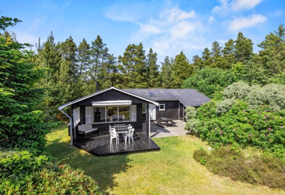 Schönes Ferienhaus mit Kaminofen in Blåvand