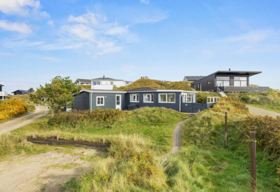 Strandnahes Ferienhaus auf Fanø für 5 Gäste und 1 Hund