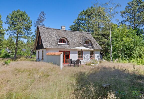 Renoviertes Ferienhaus auf Rømø mit großem Grundstück