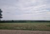 82300 (Bild  3)