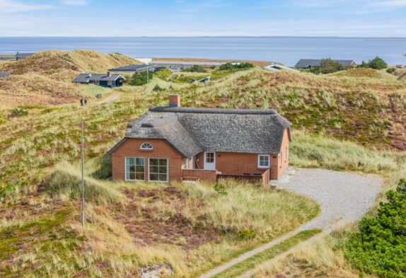 Klassisches Dünenhaus mit Panoramaaussicht, Sauna, Hund erlaubt
