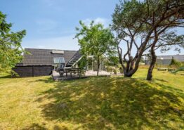 Hyggeligt sommerhus med brændeovn og vildmarksbad. Kat. nr.:  H5616, Vestklitvej 40