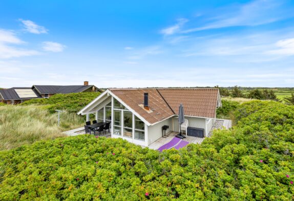 Schönes Ferienhaus mit Aussicht auf die Dünen, Hund erlaubt