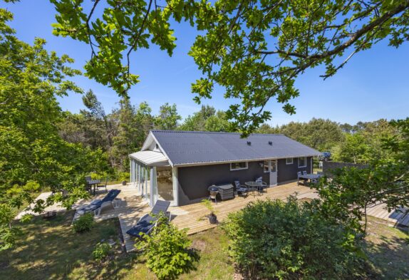 Gemütliches Ferienhaus mit Holzofen in Lodberg Hede