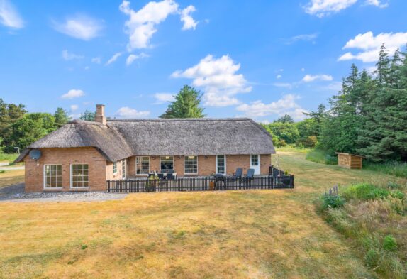 Schönes  Ferienhaus mit Whirlpool am Nissum Fjord, 2 Hunde