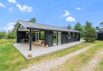 Stilvoll renoviertes Sommerhaus mit Kamin auf Holmsland Klit (Bild  1)